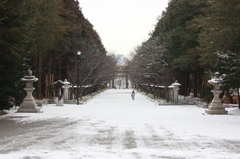 北海道神宮　境内