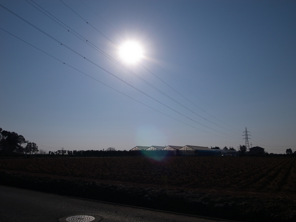 太陽