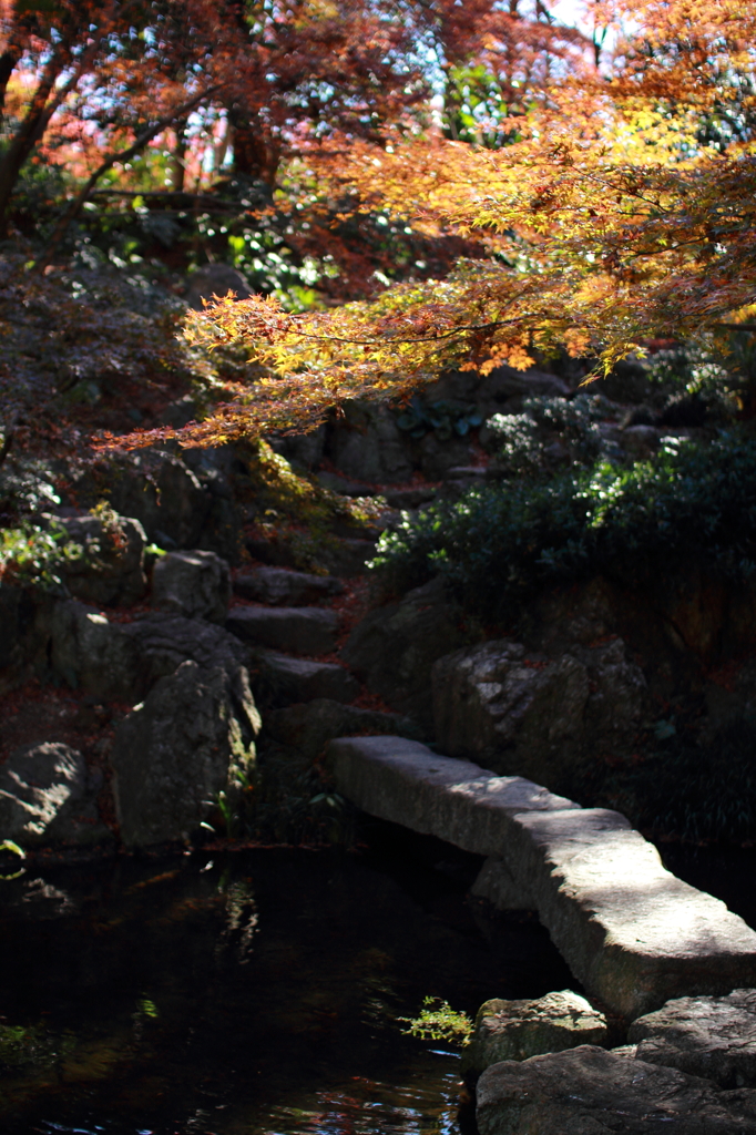 浜松城公園の紅葉②