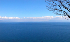 駿河湾