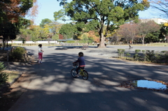 初冬の駿府公園②