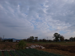 今日の雲