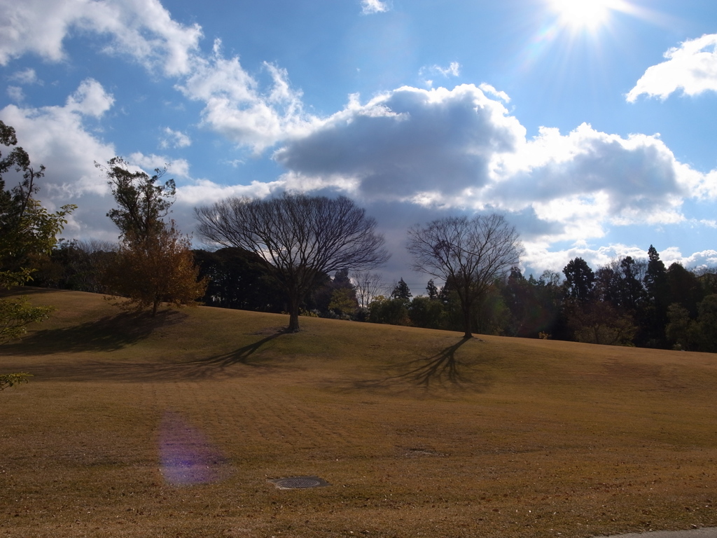 芝生広場