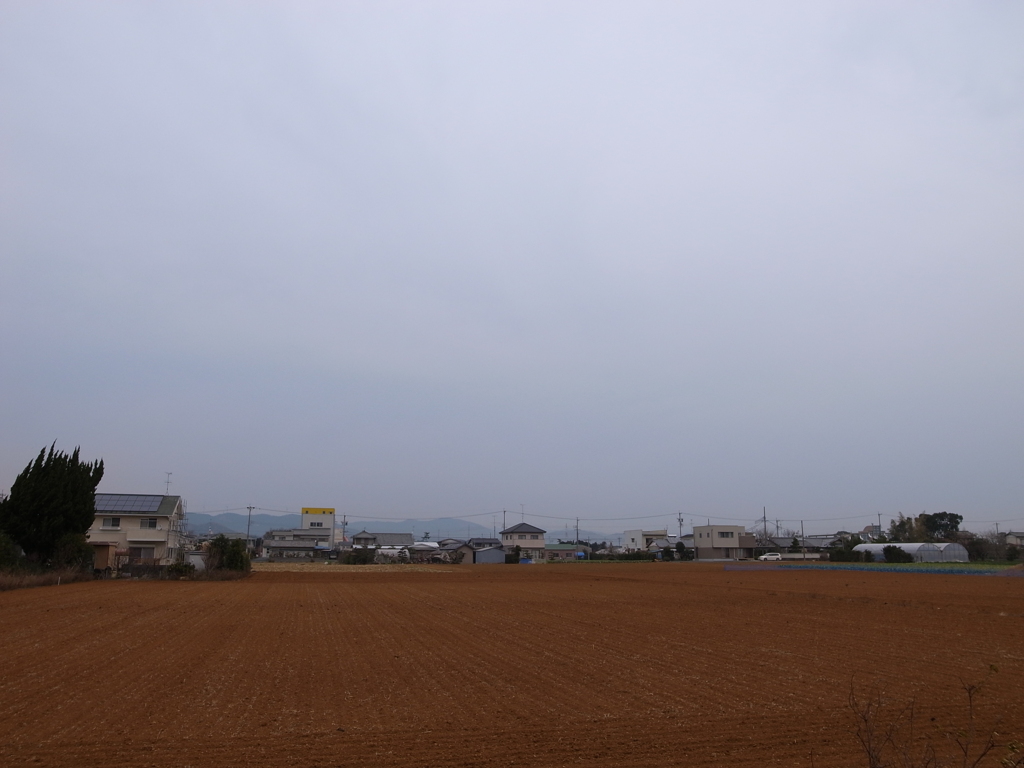 今日の天気