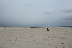 深沼海岸