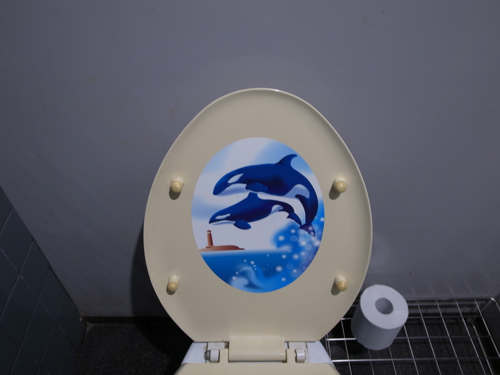 シャチ