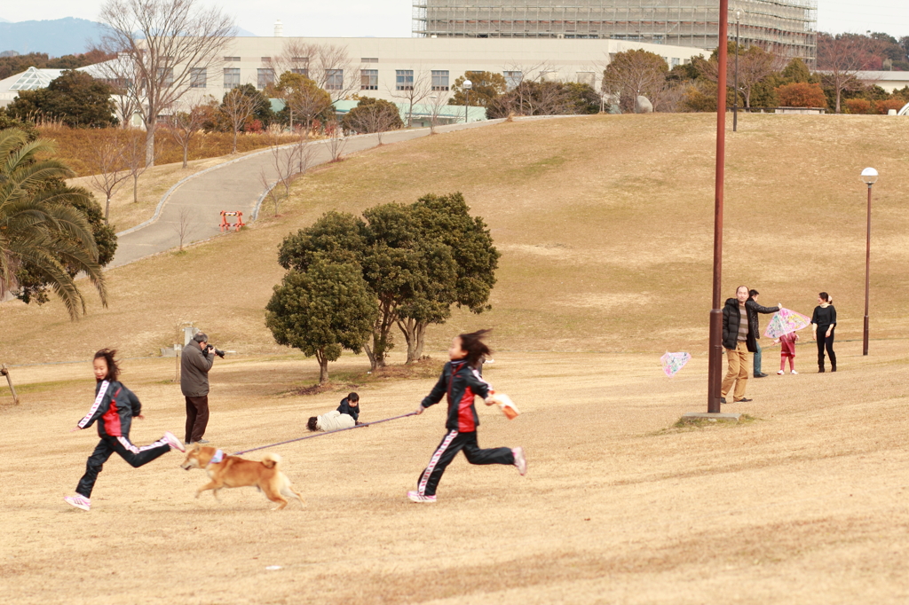 のどかなお正月の公園