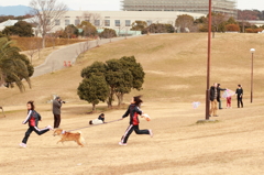のどかなお正月の公園