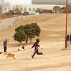 のどかなお正月の公園