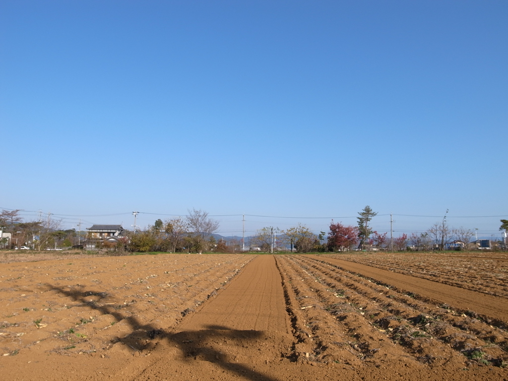 今日の空と畑