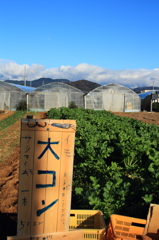 自分で取ってください