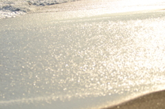 CSC_1187