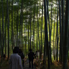 竹林