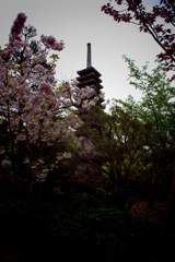 塔