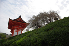 清水寺門付近
