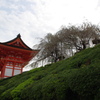 清水寺門付近