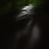 夜の公園