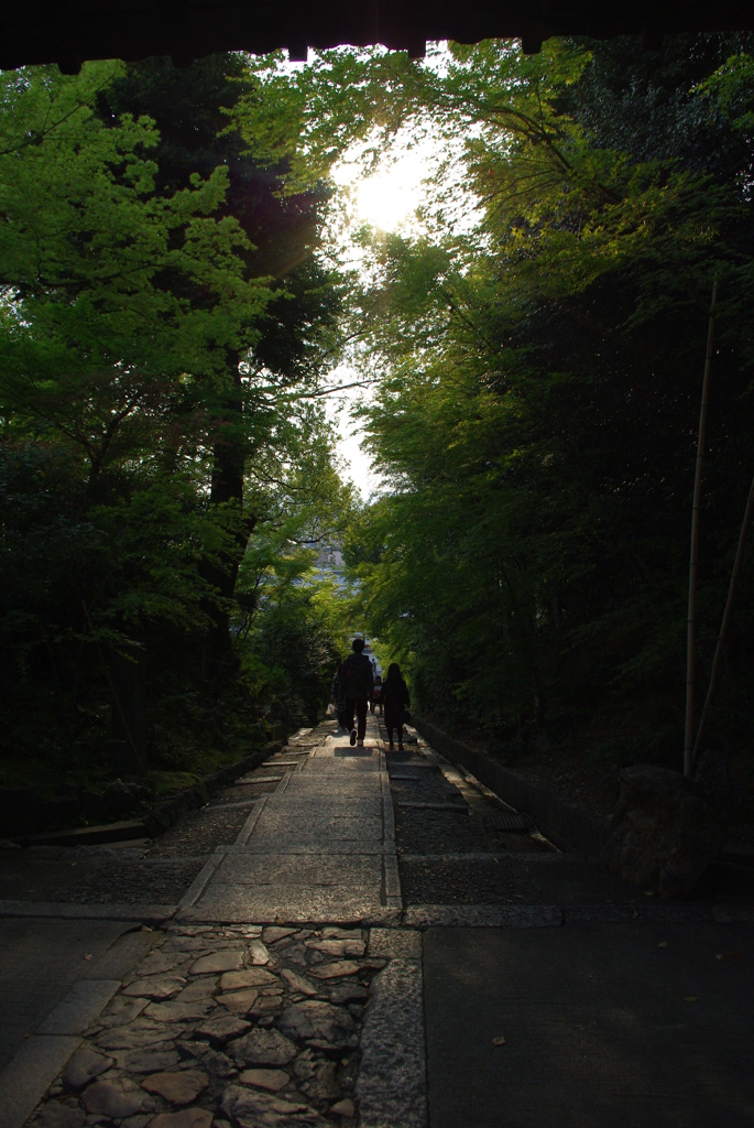竹道