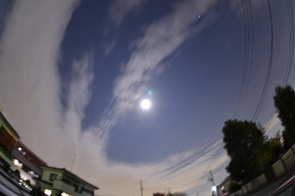 DSC_1501
