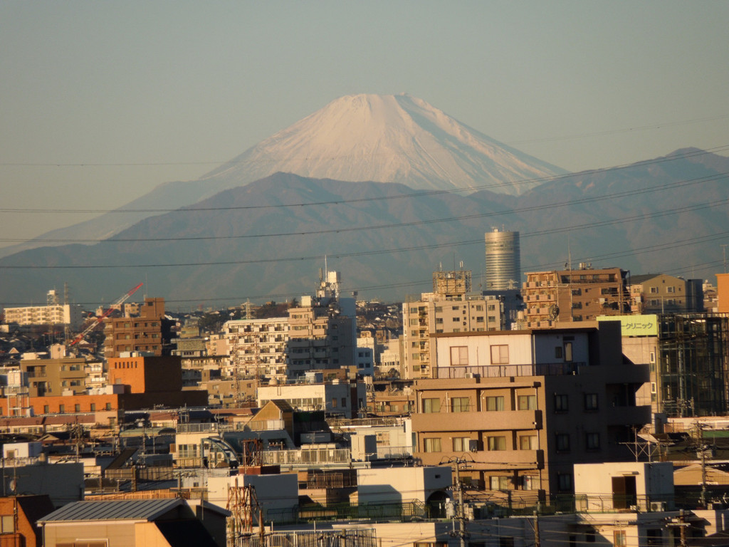 朝の富士山