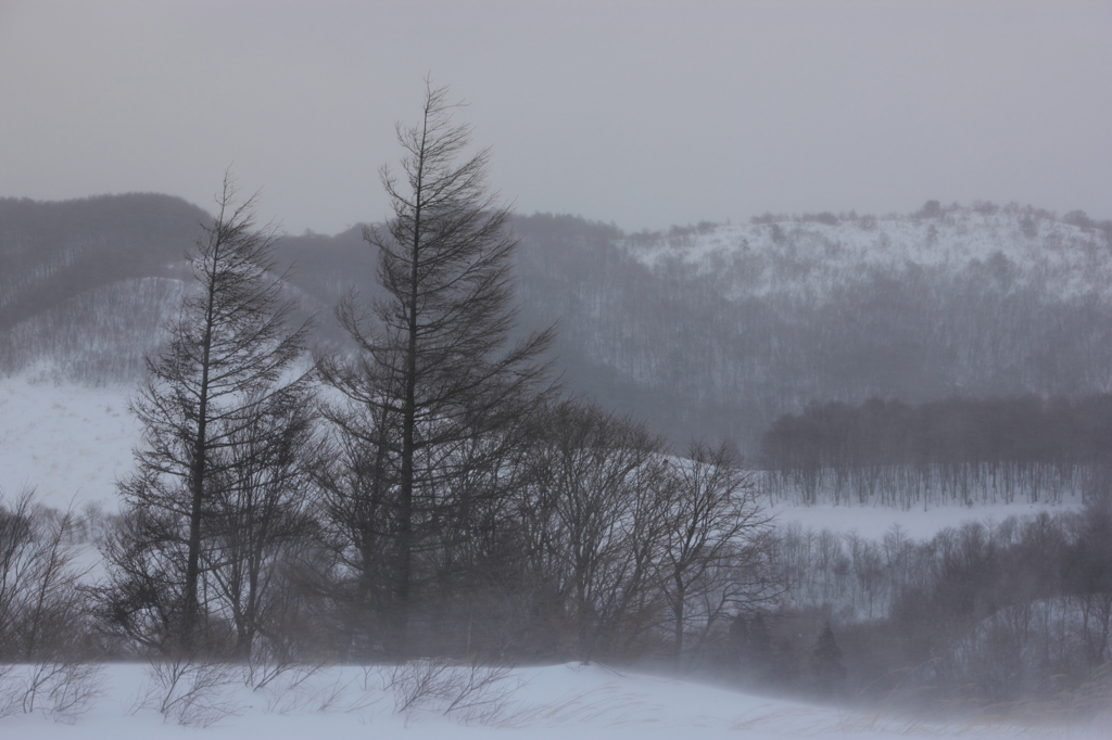 地吹雪の峠