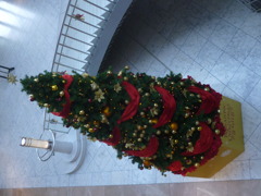 クリスマスツリー