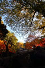 喝