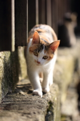 いま、そっちに行くね