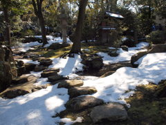 雪のお庭