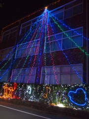 The Shining Tree Illumination