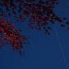 日暮れの紅葉と月、飛行機雲