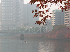 朝もや、ボートと桜紅葉