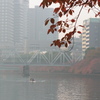 朝もや、ボートと桜紅葉