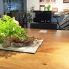 vegetable objects
