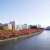 Red Cherry Trees