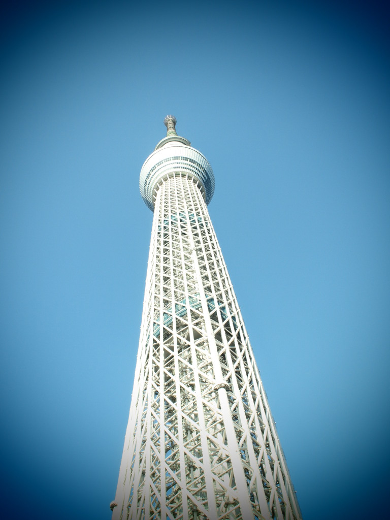 Sky Tree & Blue Sky