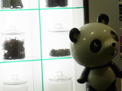 漢方はよぅ効くで～