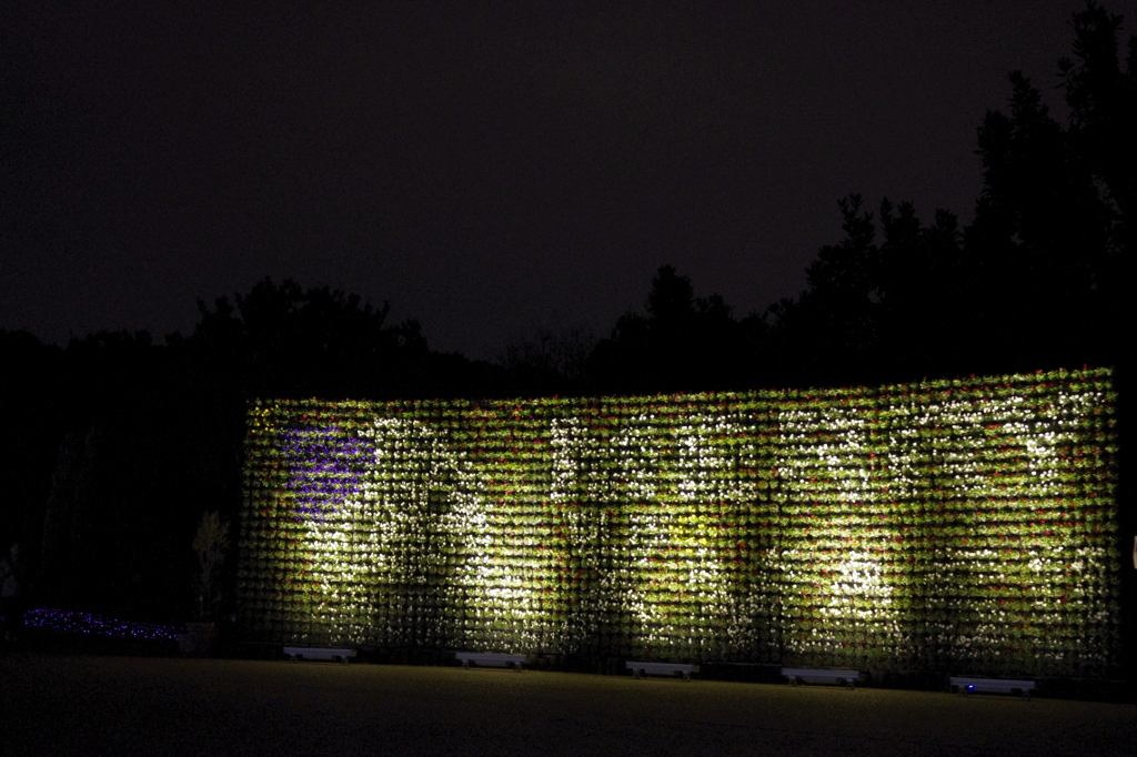 花のメリークリスマス