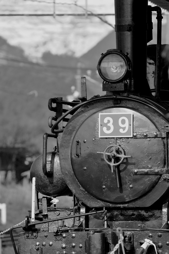 83301174