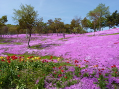 花盛り