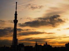 織りなす雲をたずさえて