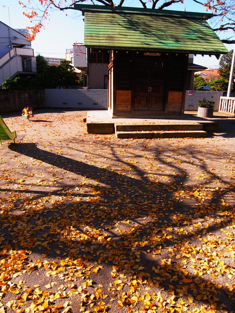 下丸子の紅葉　４