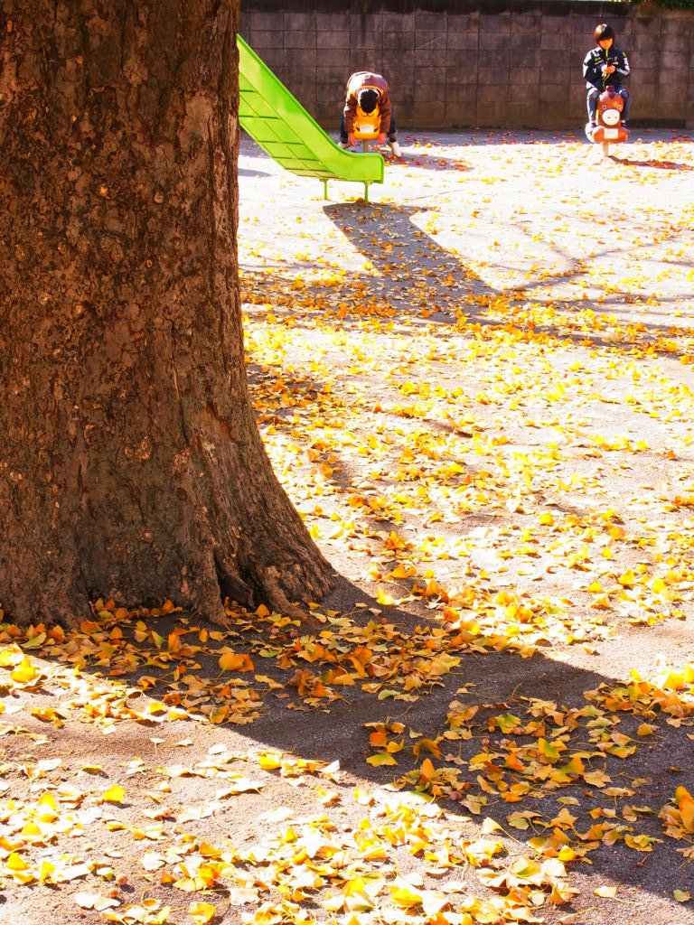 下丸子の紅葉　２