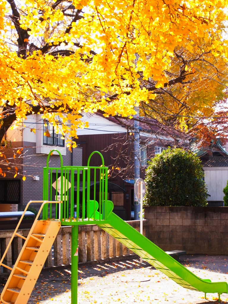 下丸子の紅葉　３