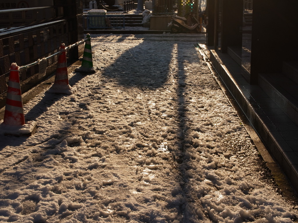 浅草・初雪　足を取られました