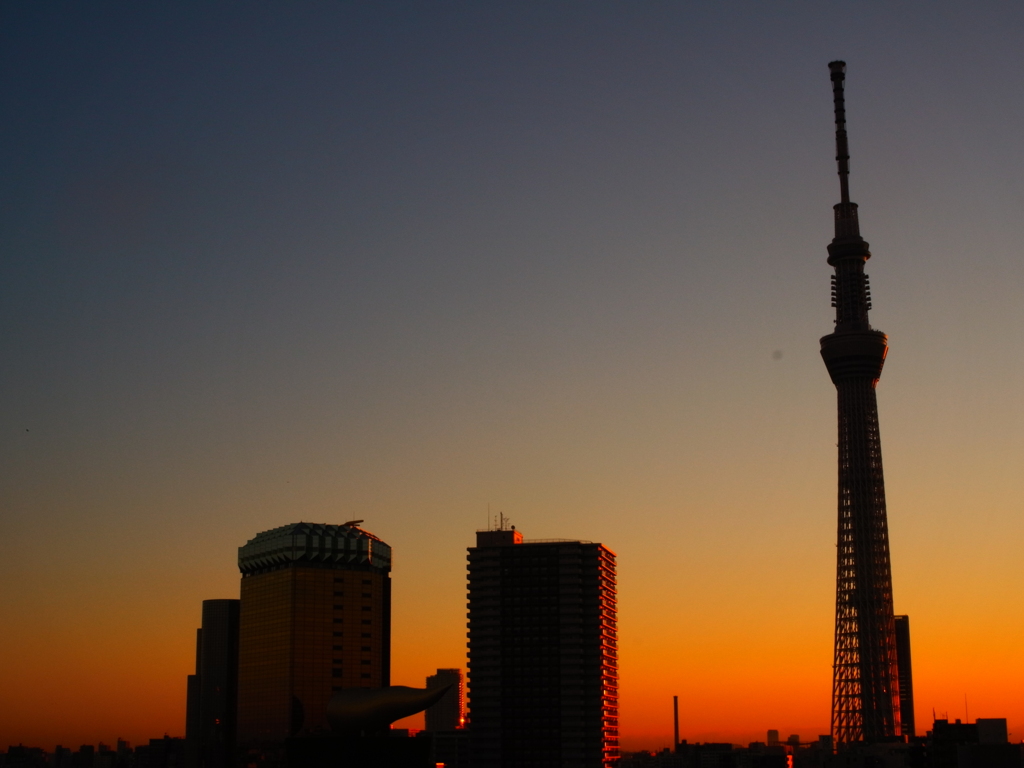 寒さの鬼居座る