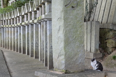 招き猫で有りません様に