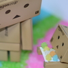 コンペイトウだよ