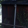 小屋