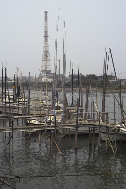 大牟田川の風景